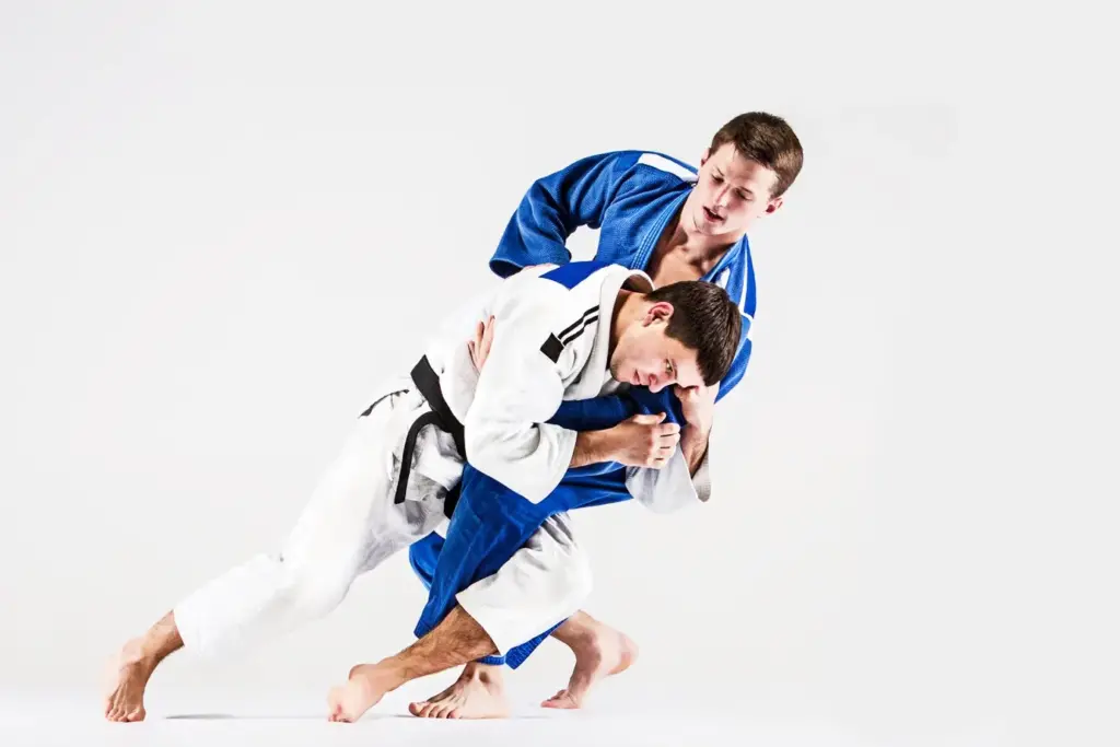 jiu jitsu brasileno 1